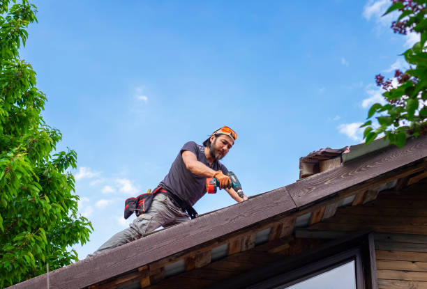Best Roof Installation  in Mililani Town, HI